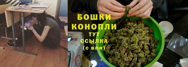 метадон Козловка