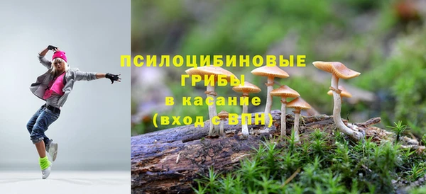 соль курить ск Кодинск